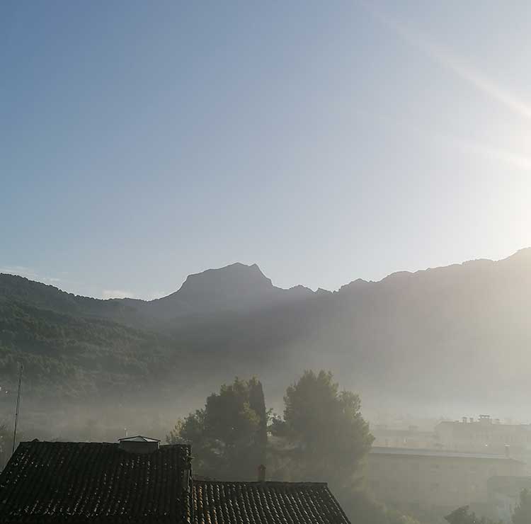 Ple Ordinari Gener 2021