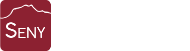 Seny i Sentit Logo