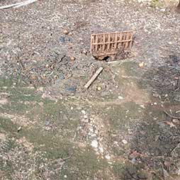 depuradora soller seny i sentit