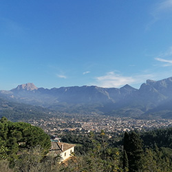 seny i sentit soller