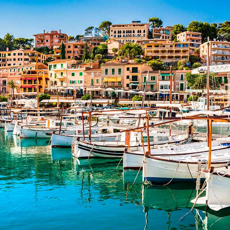 soller seny i sentit