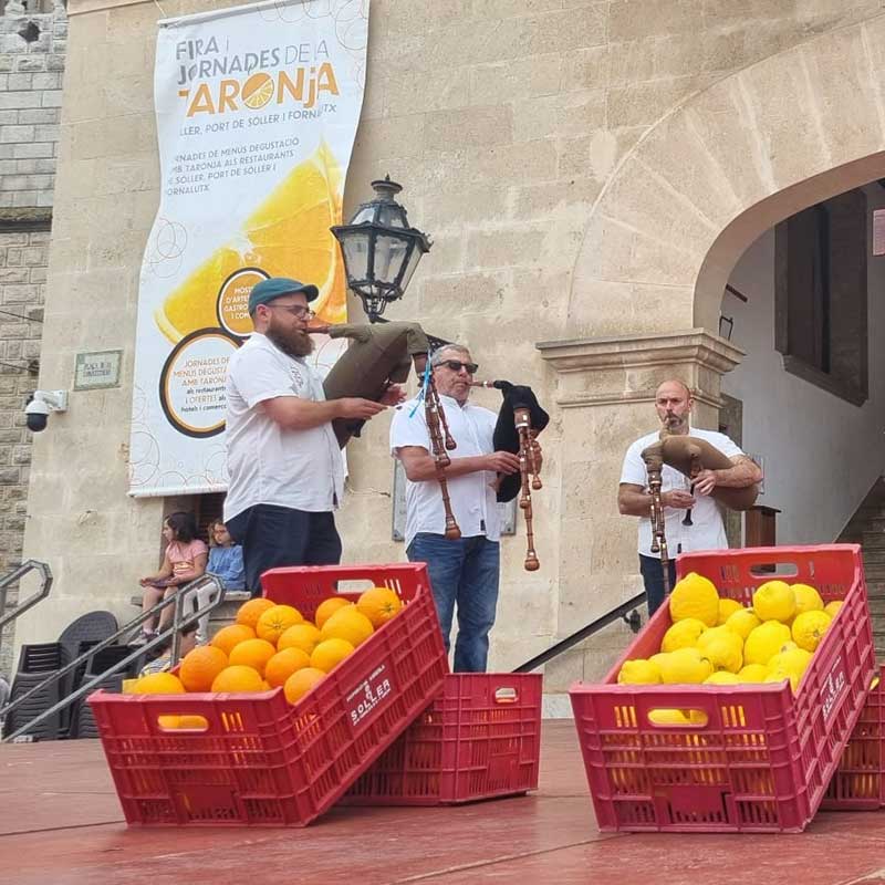 fira de sa taronja soller