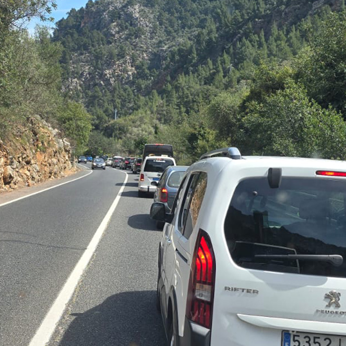 mesures d’aplicació a curt i a llarg termini.